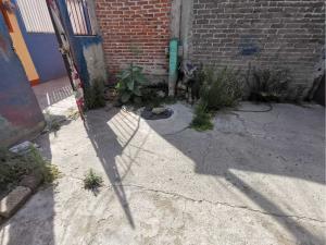 Casa en venta en Las Llanuras, Tultitlán — foto 3 de 14