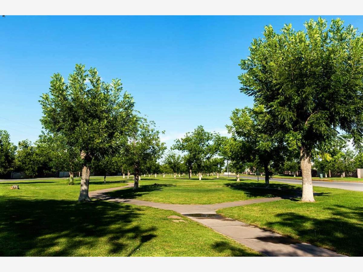 Terreno en venta en Las Trojes, Torreón — foto 1 de 5
