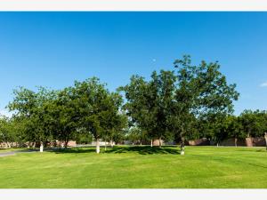 Terreno en venta en Las Trojes, Torreón — foto 3 de 5