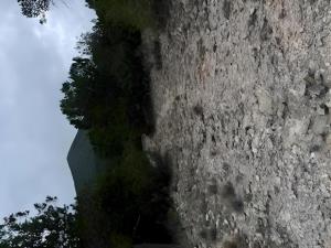 Terreno en venta en Los Lirios, Arteaga — foto 3 de 4