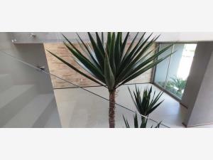 Casa en venta en Bosque Monarca, Morelia — foto 3 de 32