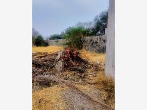 Terreno en venta en Otilio Montaño, Cuautla — foto 2 de 3