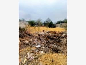 Terreno en venta en Otilio Montaño, Cuautla — foto 3 de 3