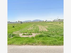Terreno en venta en San Miguel Totocuitlapilco, Metepec — foto 2 de 3
