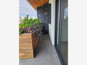 Casa en venta en Paraíso Country Club, Emiliano Zapata — foto 2 de 32