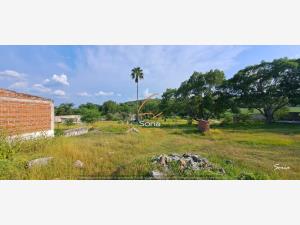 Terreno en venta en Tequesquitengo, Jojutla — foto 3 de 22