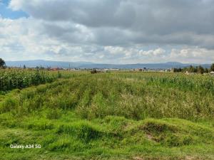 Terreno en venta en Ixtlahuaca, Chignahuapan — foto 2 de 25