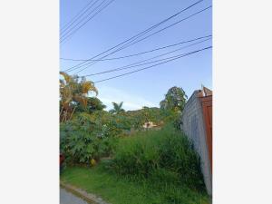 Terreno en venta en Las Fincas, Jiutepec — foto 2 de 5
