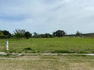Terreno en venta en La Ribera, Tampico Alto — foto 3 de 28
