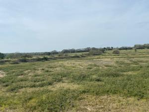 Terreno en venta en La Ribera, Tampico Alto — foto 3 de 5