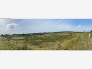Terreno en venta en La Ribera, Tampico Alto — foto 2 de 5