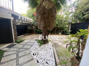 Casa en renta en Jardines de Cuernavaca, Cuernavaca — foto 2 de 14
