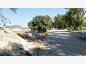 Terreno en venta en El Saucillo, Mineral de la Reforma — foto 3 de 10