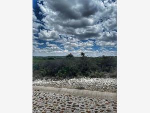 Terreno en venta en Rancho Viejo, San Miguel de Allende — foto 3 de 8