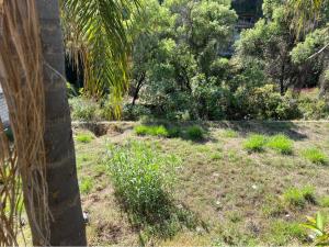 Terreno en venta en Lomas de Tzompantle, Cuernavaca — foto 2 de 5