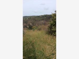 Terreno en venta en San Gaspar de las Flores, Tonalá — foto 3 de 9