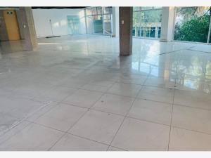 Oficina en renta en Ex-Hacienda de Guadalupe Chimalistac, Álvaro Obregón — foto 3 de 10