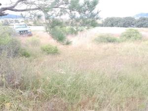 Terreno en venta en Mesillas, Amealco de Bonfil — foto 2 de 16
