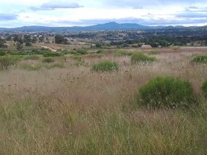 Terreno en venta en Mesillas, Amealco de Bonfil — foto 3 de 16
