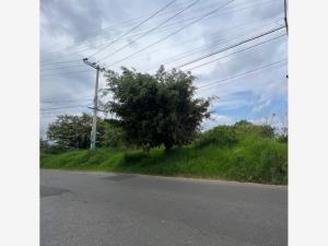 Terreno en venta en Lomas de Ahuatlán, Cuernavaca — foto 2 de 4