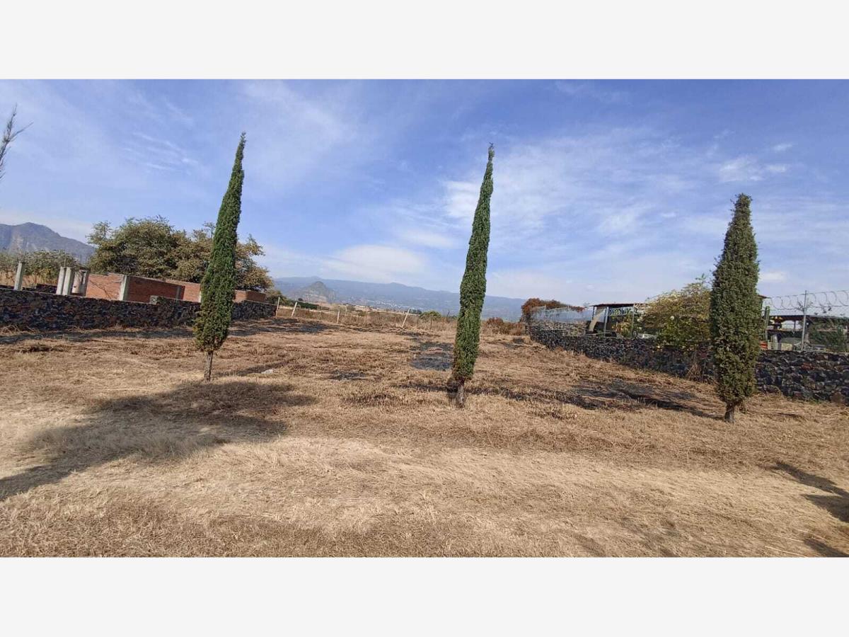 Terreno en venta en Tlayacapan Centro, Tlayacapan — foto 1 de 6