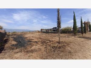 Terreno en venta en Tlayacapan Centro, Tlayacapan — foto 2 de 6