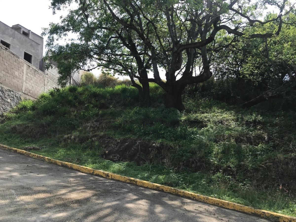 Terreno en venta en Lomas de Tzompantle, Cuernavaca — foto 1 de 9