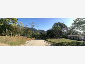 Terreno en venta en La Herradura, Coatepec — foto 2 de 5