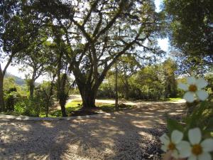 Terreno en venta en La Herradura, Coatepec — foto 3 de 5