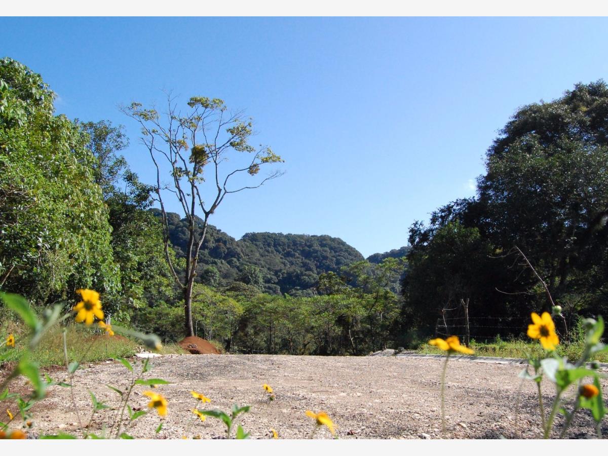 Terreno en venta en La Herradura, Coatepec — foto 1 de 5
