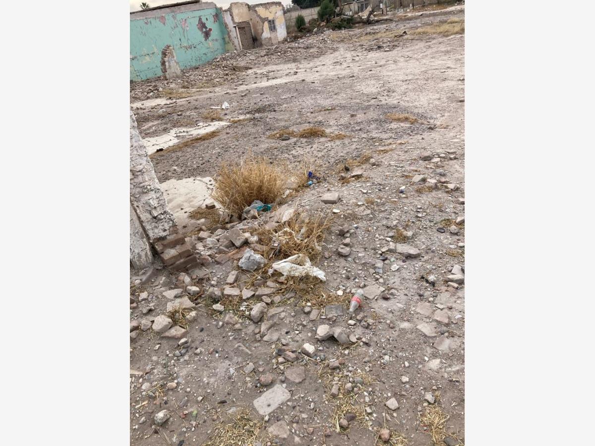 Terreno en venta en Tlahualilo de Zaragoza Centro, Tlahualilo — foto 1 de 5