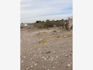 Terreno en venta en Tlahualilo de Zaragoza Centro, Tlahualilo — foto 2 de 5