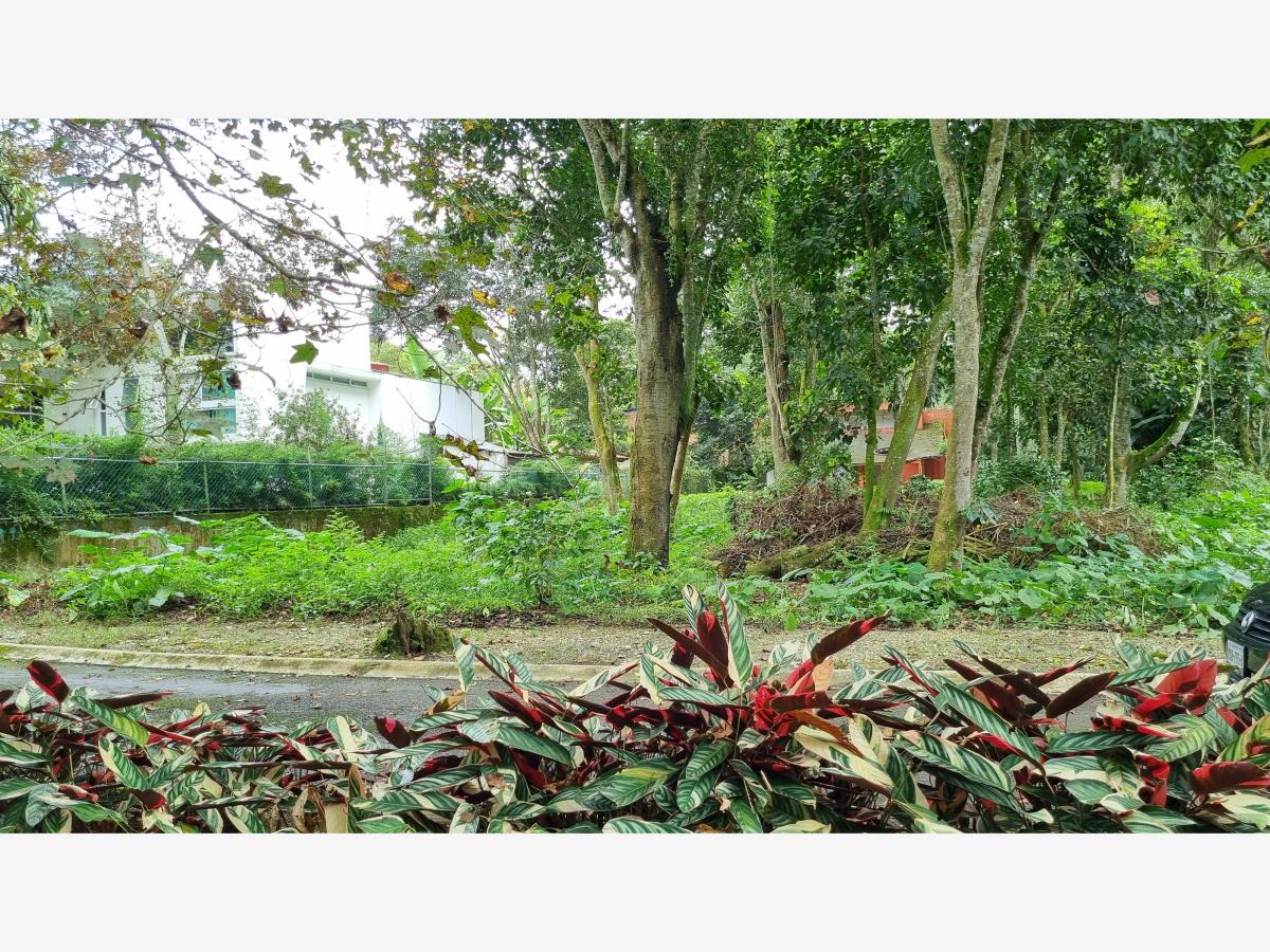 Terreno en venta en La Florida, Coatepec — foto 1 de 7
