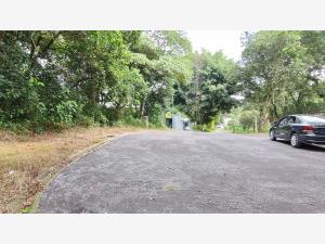 Terreno en venta en La Florida, Coatepec — foto 3 de 7