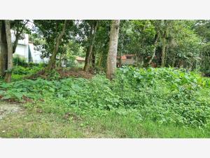 Terreno en venta en La Florida, Coatepec — foto 3 de 8