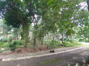 Terreno en venta en La Florida, Coatepec — foto 3 de 10
