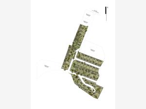 Terreno en venta en Centro Jiutepec, Jiutepec — foto 3 de 3