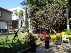 Casa en renta en Reforma, Cuernavaca — foto 2 de 20