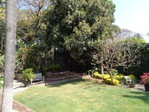 Casa en venta en Reforma, Cuernavaca — foto 2 de 23