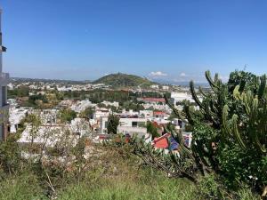 Terreno en venta en San Jose de los Olvera, Corregidora — foto 3 de 6