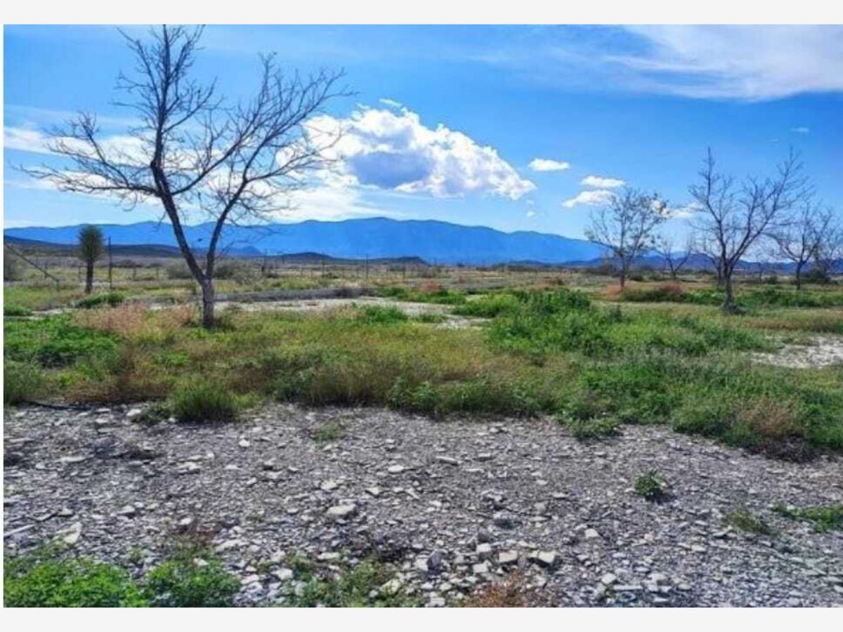 Terreno en venta en Parras de la Fuente Centro, Parras — foto 1 de 45
