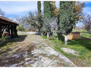 Terreno en venta en Parras de la Fuente Centro, Parras — foto 2 de 45