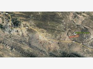 Terreno en venta en Los Hoyos (El Potrero), Parras — foto 3 de 44