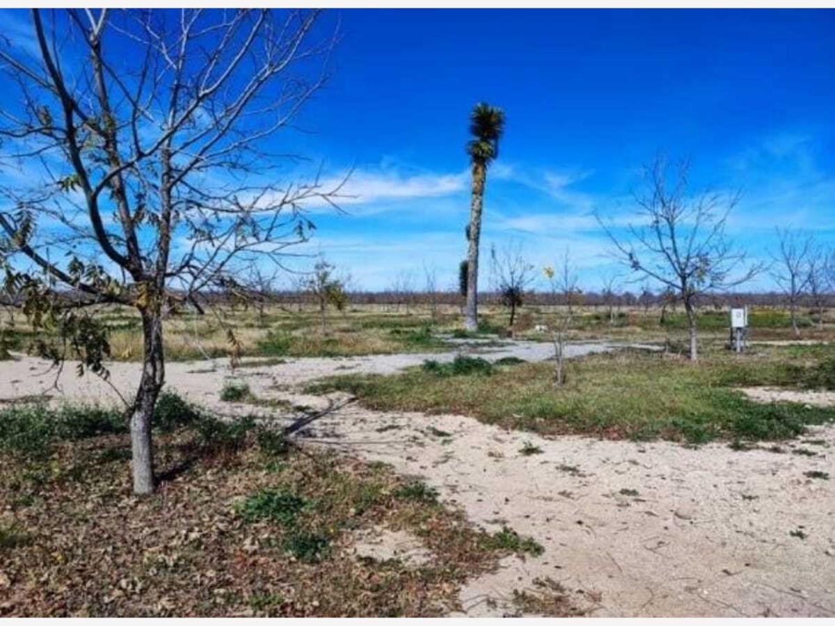 Terreno en venta en Los Hoyos (El Potrero), Parras — foto 1 de 44