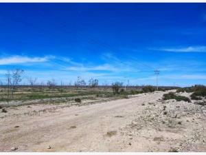 Terreno en venta en Los Hoyos (El Potrero), Parras — foto 2 de 44