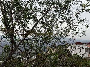 Terreno en venta en Vista Real y Country Club, Corregidora — foto 3 de 12