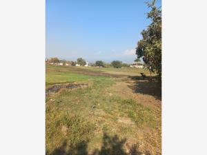 Terreno en venta en Atlacomulco, Jiutepec — foto 2 de 3