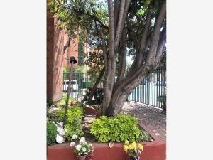 Departamento en venta en Lomas de Plateros, Álvaro Obregón — foto 3 de 8