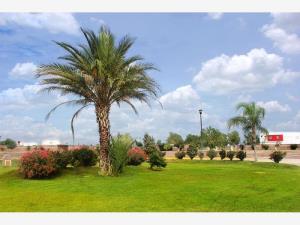 Terreno en venta en Villas del Renacimiento, Torreón — foto 3 de 4