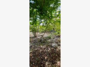 Terreno en venta en Conkal, Conkal — foto 2 de 15